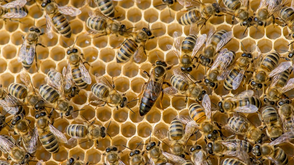 Consulter cet article